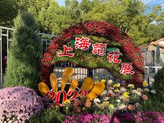 -上海共青森林公园