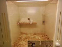 -龙猫仔乐园(惠福东路店)