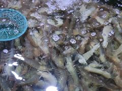 -聚盛源蒸汽海鲜火锅烤肉自助(巨川金海岸购物广场店)