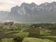 景点-鹿院坪生态旅游景区