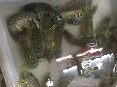 班赞生鲜市场-班赞海鲜市场