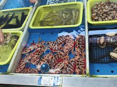 -大湾区中央湿地公园-十九涌