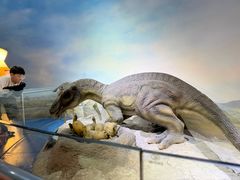 -国家自然博物馆