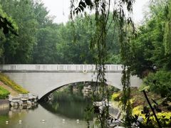 -大兴滨河森林公园