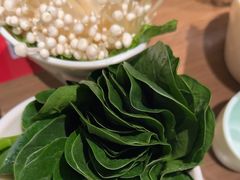 -掂档潮汕牛肉火锅(沈阳万象城店)