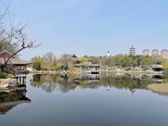 -静园(和平区)