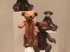 -济州岛泰迪熊博物馆