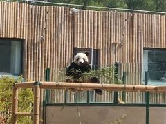 -天津市动物园