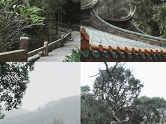 -草庵摩尼教遗址公园