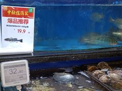 水产区-七鲜超市(万向城店)