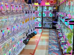 -DON DON DONKI(名珠城店)