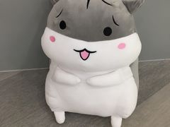 -编程猫·少儿编程(绿宝校区)