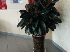 -李先生牛肉面大王(济泺路店)