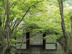 -常寂光寺
