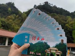 -缙云山景区