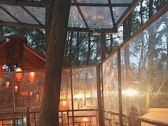 -巴倒烫陆派重庆火锅(南山店)