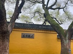 -西园戒幢律寺