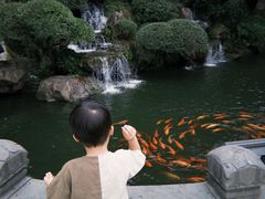 -江心屿景区