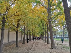 -钓鱼台国宾馆