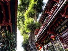 -叩齿古寺