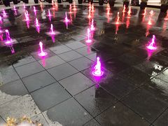 -上海虹桥宾馆味翠餐厅