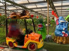 -南宫五洲植物乐园