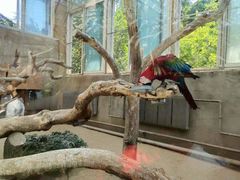 -大连森林动物园