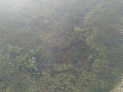 -北戴河东海水浴场