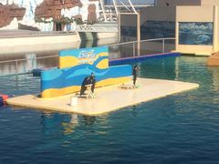 -秦皇岛乐岛海洋王国