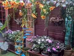-月亮眼花园餐厅书吧酒吧