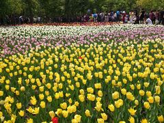 -长春公园(普阳街道)