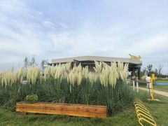 -omitofee咖啡(水泽店)