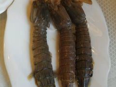 淹皮皮虾-渔娘渔家丹东海鲜(东直门店)