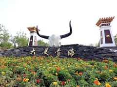 -武清南湖绿博园