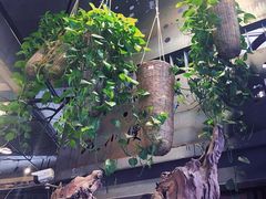 -路小缦·珍馐美馔(市心北路店)