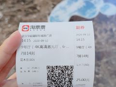 -武汉华夏国际影城(鲁广店)