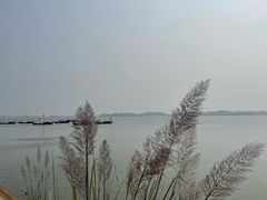 -鄱阳湖国家湿地公园