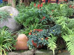 -峨眉山报国寺