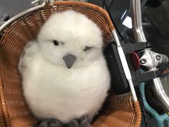 -鈊藝銀匠·银饰DIY工作室(永庆坊店)