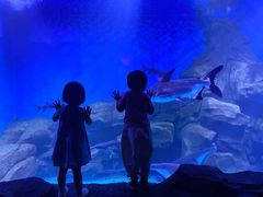 -石家庄海洋公园