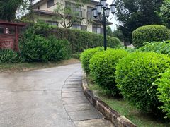 -厦门悦华酒店