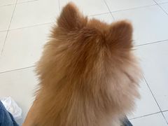 -怪兽屋·羊驼·猫咖·狗咖(俊华广场店)