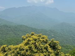 -青城山