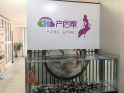 -产后帮产后修复(首城国际店)