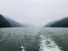 -桐君山春江扬帆码头