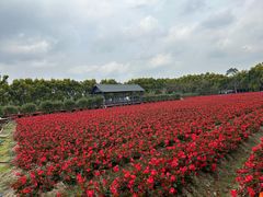 -广东花都香草世界旅游度假区