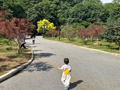 -广州市帽峰山景区