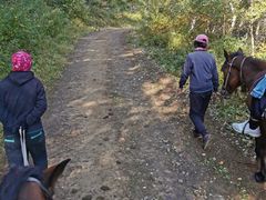 -灵山