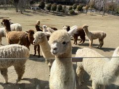 -南京金牛湖风景区