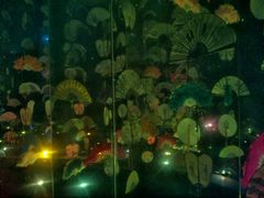 android_upload_pic-中国扇博物馆